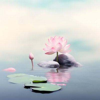 hypnose-ressourcen-wecken