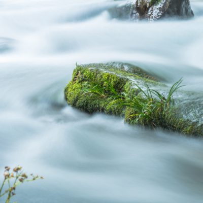Stream Flowing Through Rocks in forest.