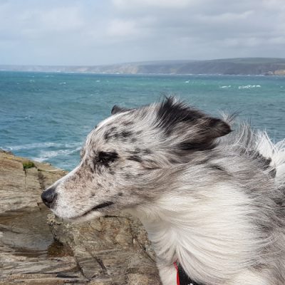 Silver ist gerne dabei, wenn Sie in Trance gehen - er mag auch den Nebenraum