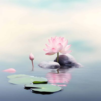 therapie-selbstanteile-koeln-small