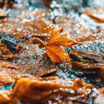 Photo of a mountain river in the forest from a close perspective